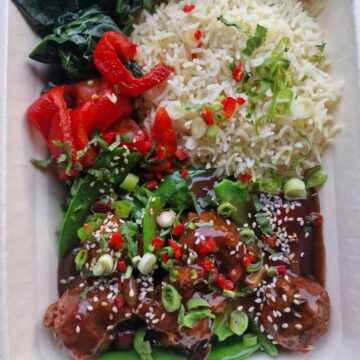 V/VG Balanced Nutritional Meal Plan