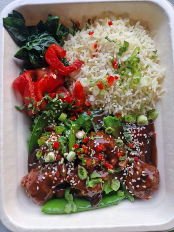 V/VG Balanced Nutritional Meal Plan